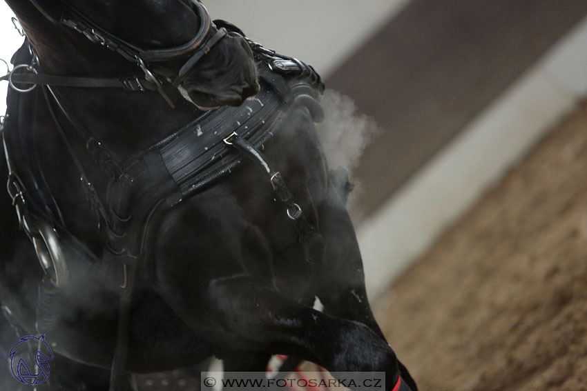 10.2.2018 - Halovky Slatiňany