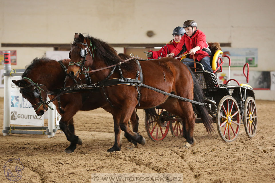 11.2.2017 - spřežení Slatiňany