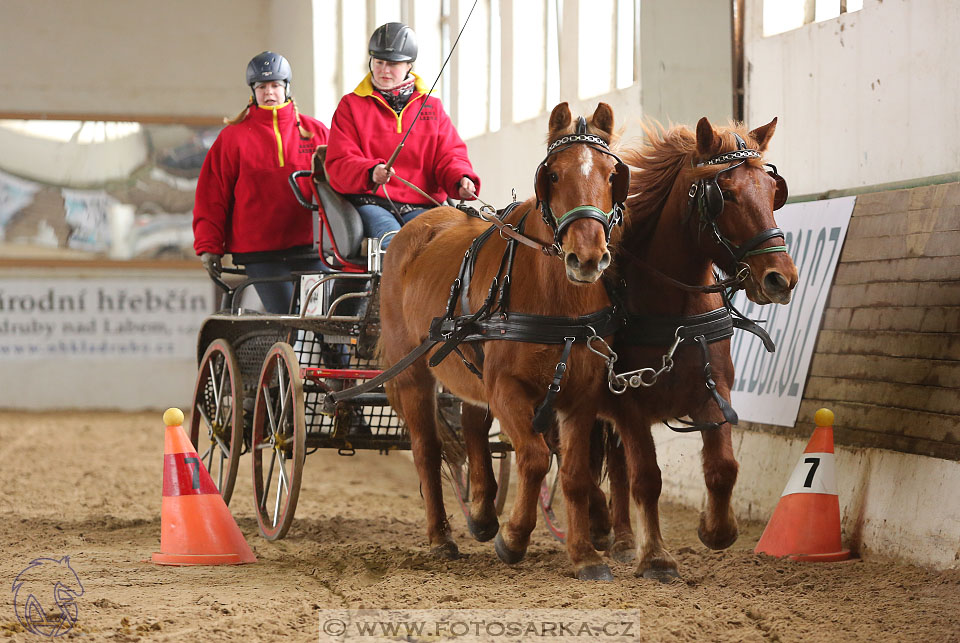 11.2.2017 - spřežení Slatiňany