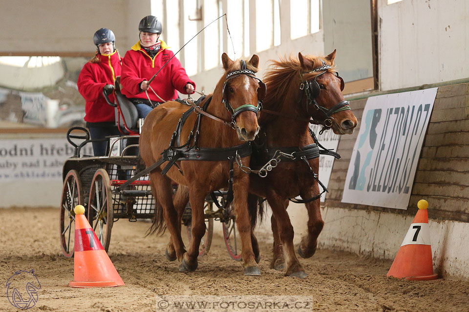 11.2.2017 - spřežení Slatiňany