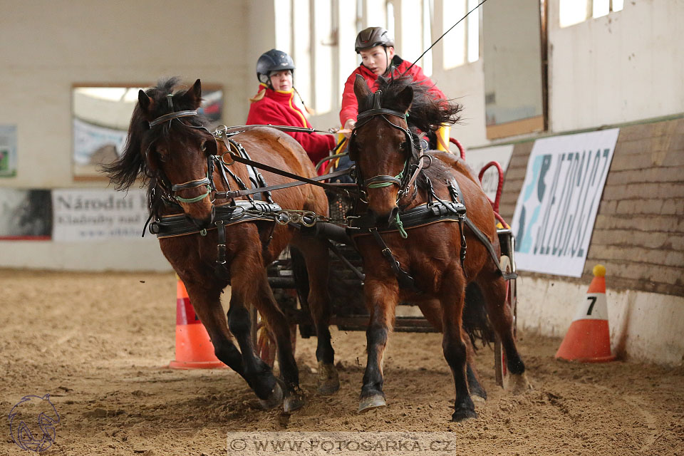 11.2.2017 - spřežení Slatiňany