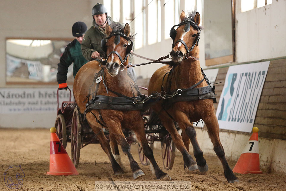 11.2.2017 - spřežení Slatiňany