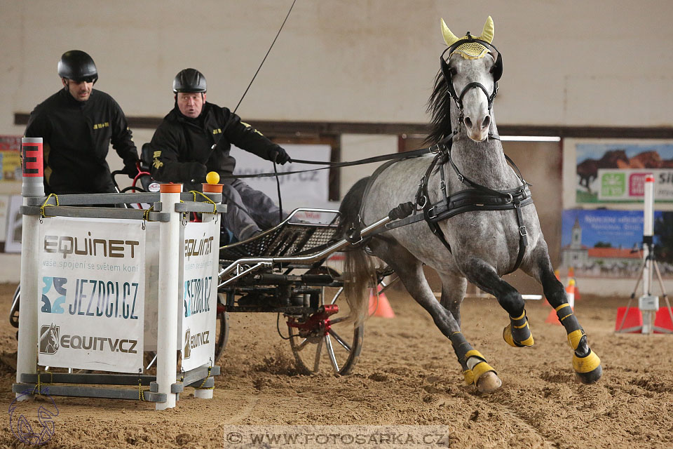11.2.2017 - spřežení Slatiňany