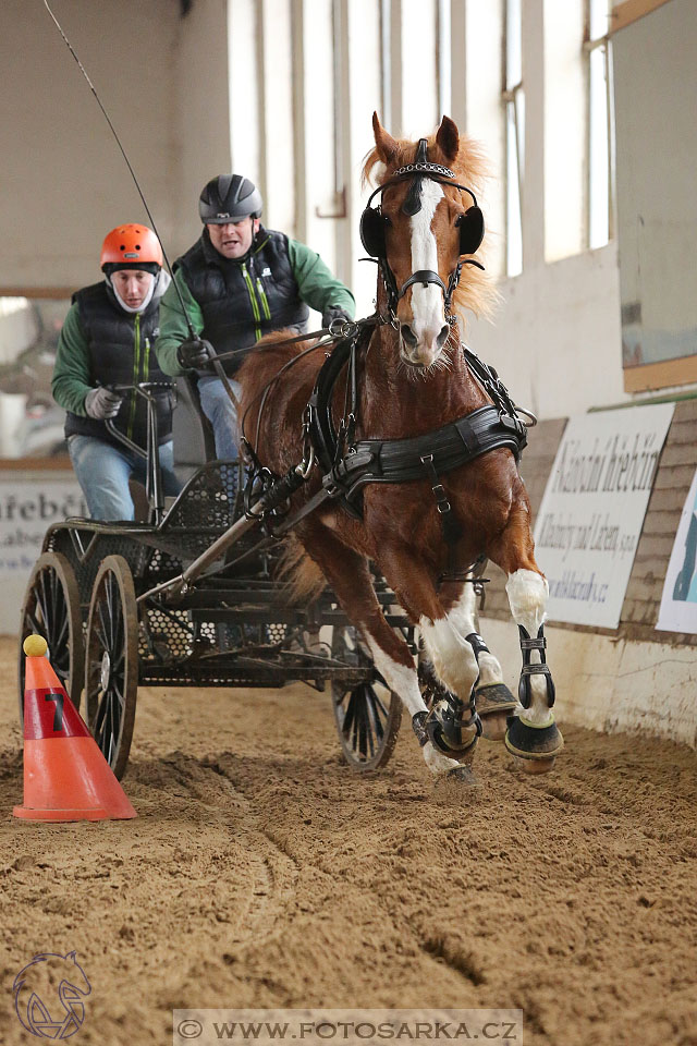 11.2.2017 - spřežení Slatiňany