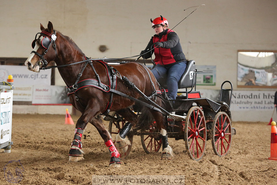 11.2.2017 - spřežení Slatiňany