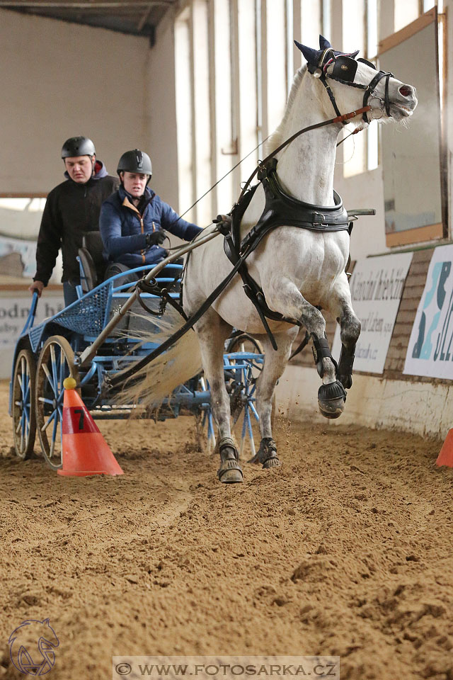11.2.2017 - spřežení Slatiňany