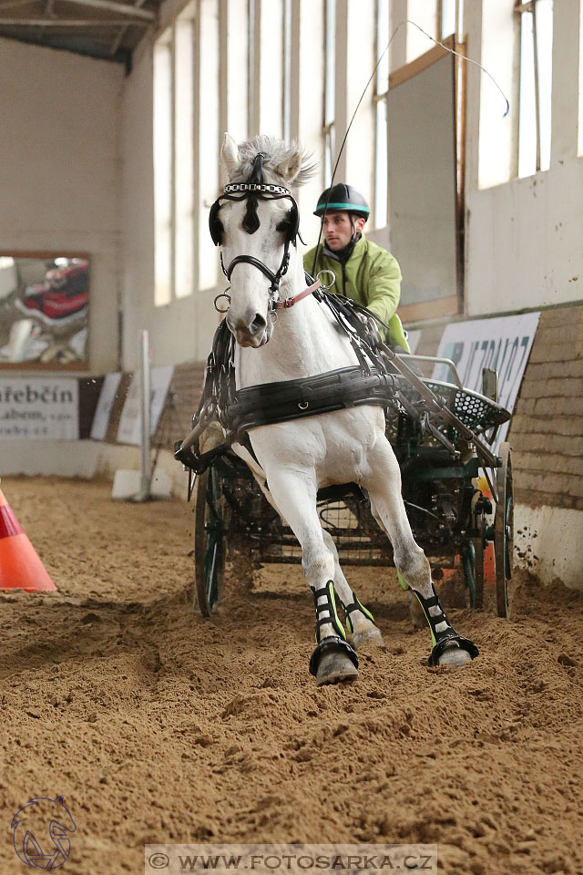 11.2.2017 - spřežení Slatiňany