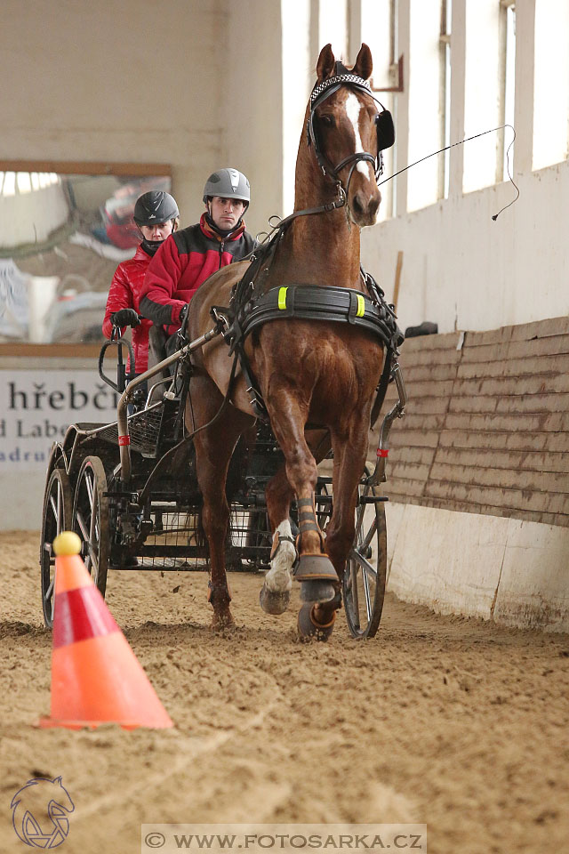 11.2.2017 - spřežení Slatiňany
