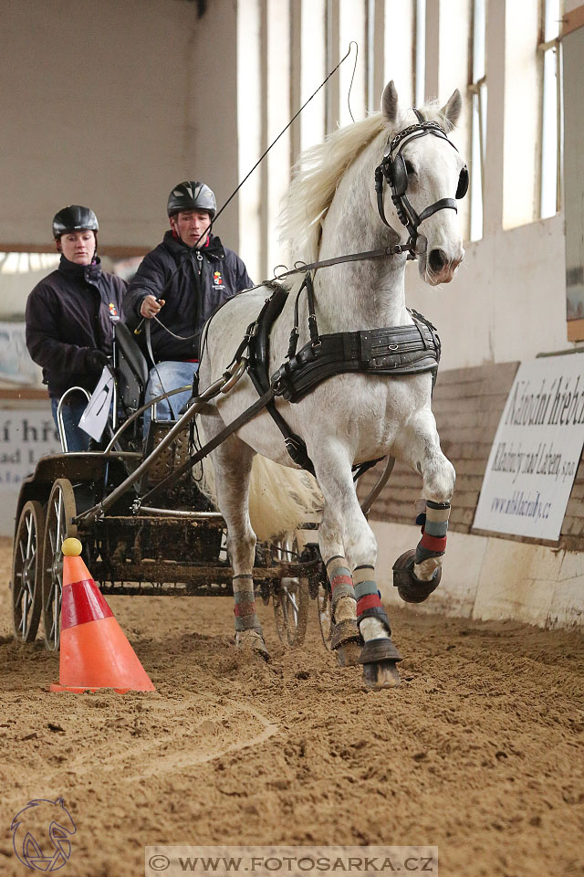 11.2.2017 - spřežení Slatiňany