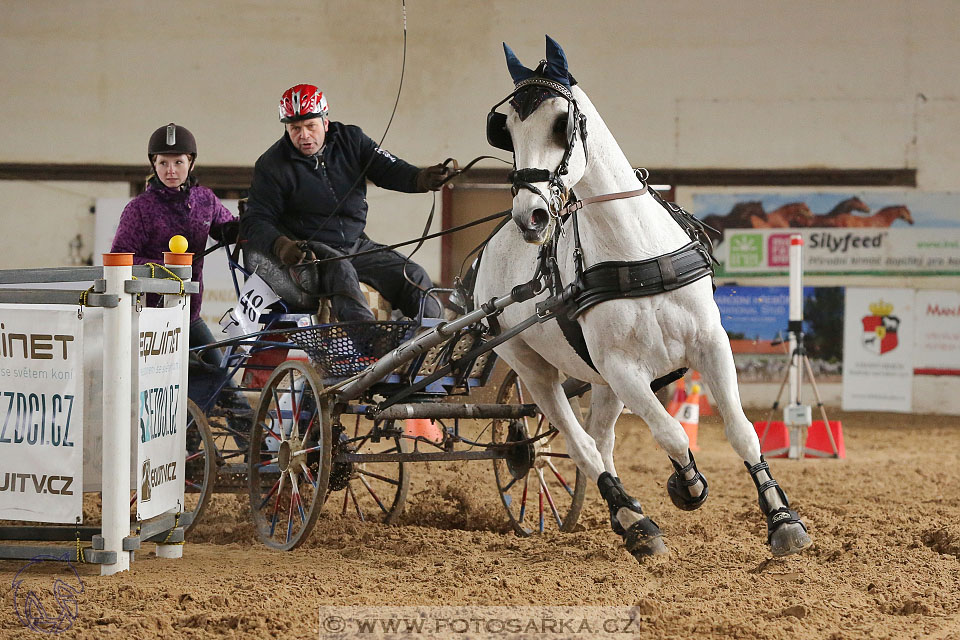 11.2.2017 - spřežení Slatiňany