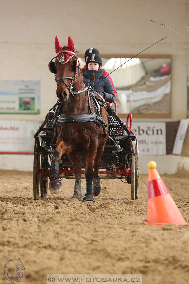 11.2.2017 - spřežení Slatiňany