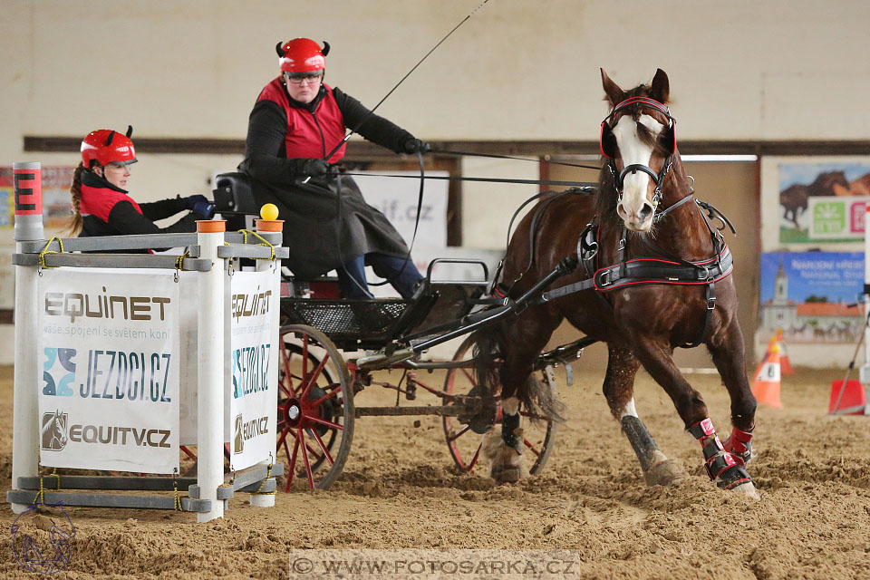 11.2.2017 - spřežení Slatiňany