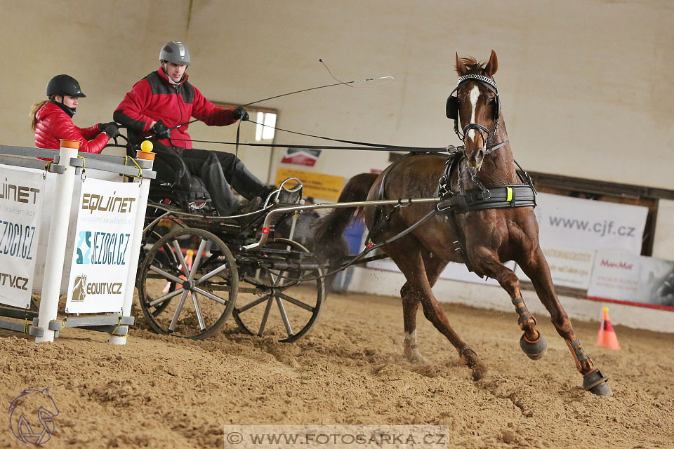 11.2.2017 - spřežení Slatiňany