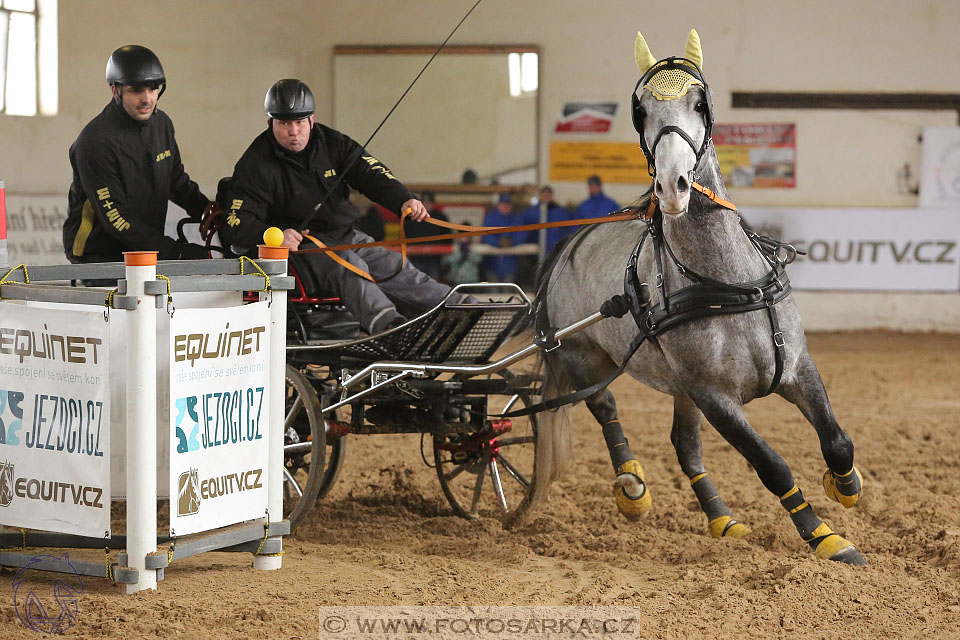 11.2.2017 - spřežení Slatiňany