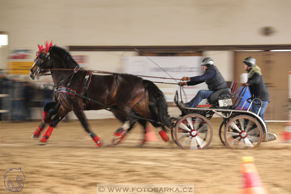 11.2.2017 - spřežení Slatiňany