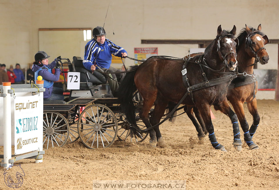11.2.2017 - spřežení Slatiňany