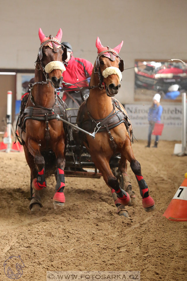 11.2.2017 - spřežení Slatiňany