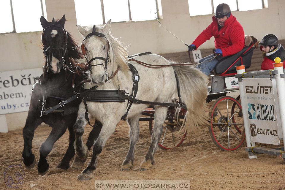 11.2.2017 - spřežení Slatiňany