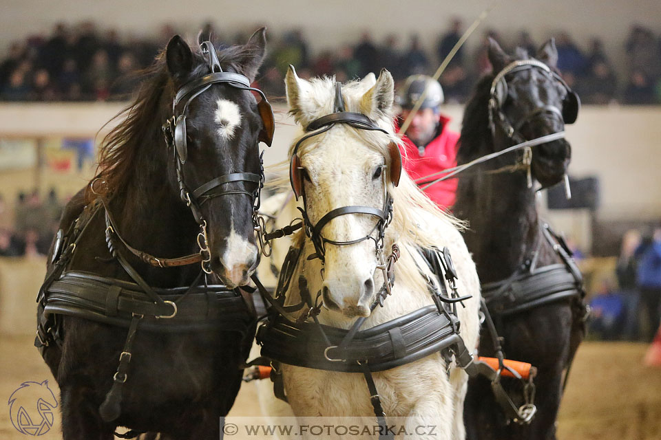 11.2.2017 - spřežení Slatiňany