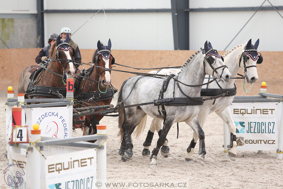12.3.2017 - spřežení Zduchovice