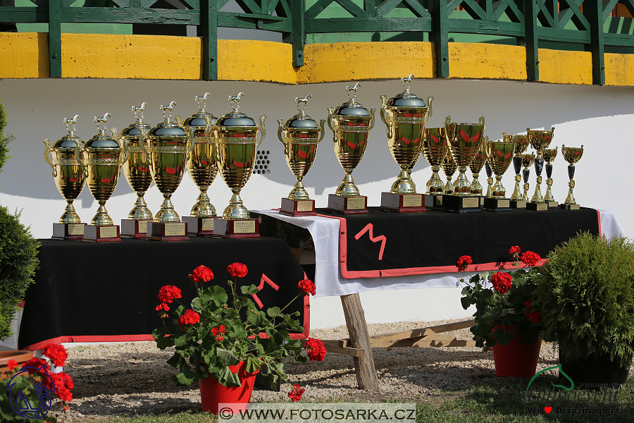 1.5.2018 - Mezöhegyes - parkur + dekorování