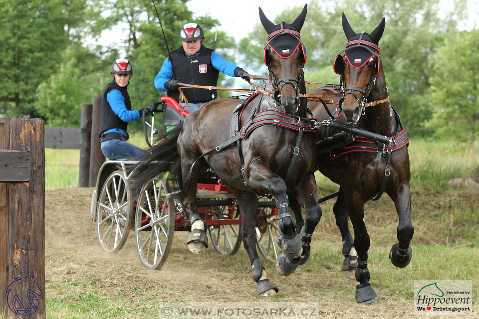 1.7.2017 - Nebanice maraton