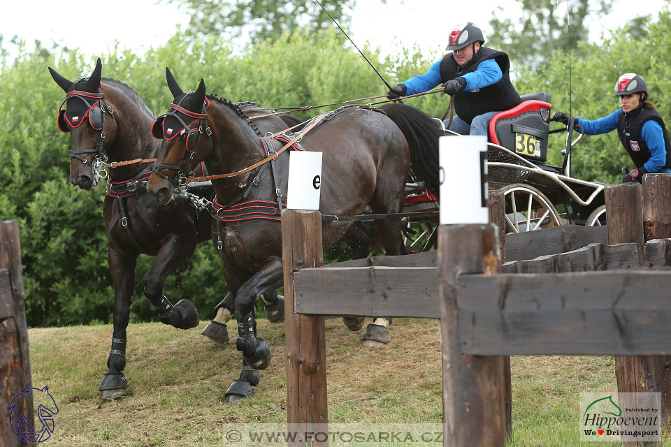 1.7.2017 - Nebanice maraton