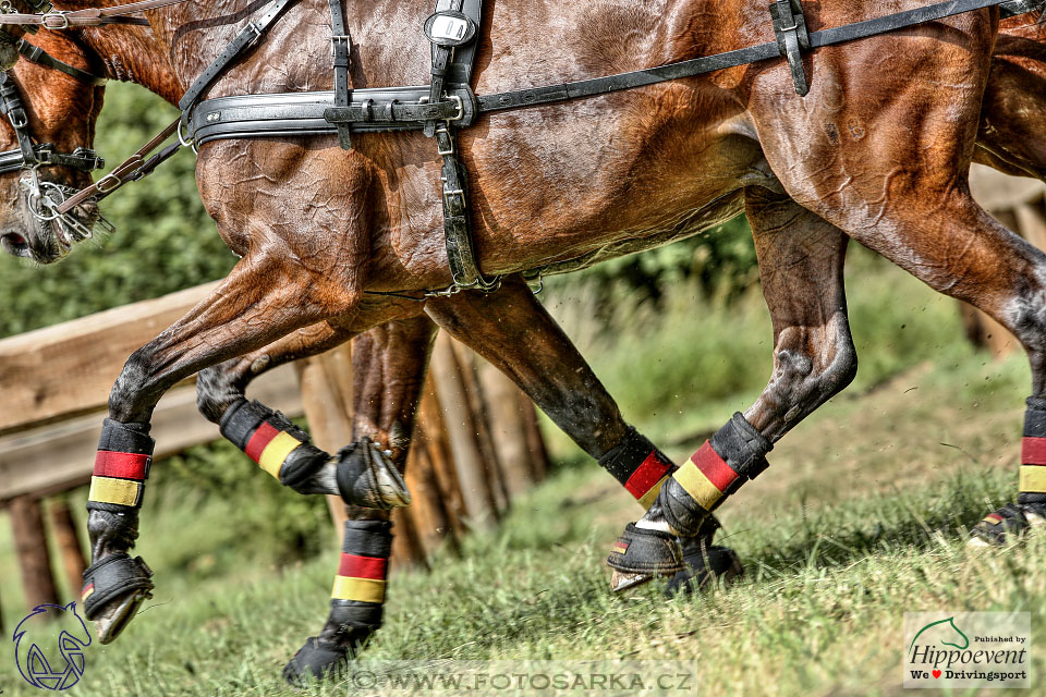 1.7.2017 - Nebanice maraton