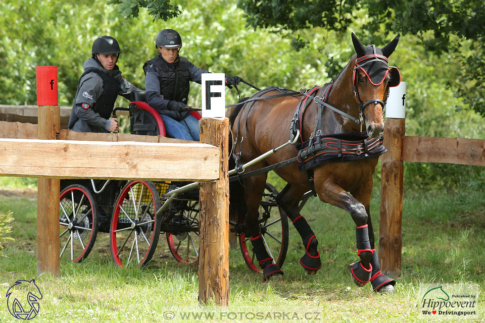 1.7.2017 - Nebanice maraton