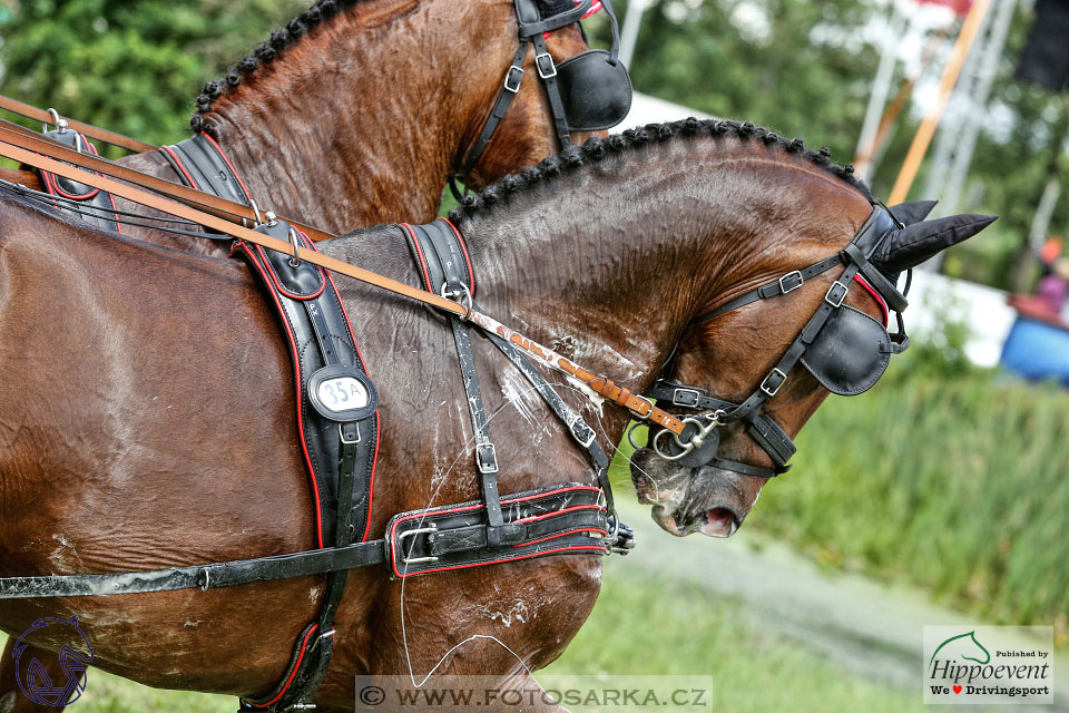 1.7.2017 - Nebanice maraton