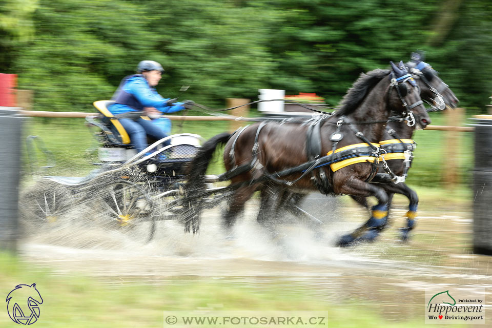 1.7.2017 - Nebanice maraton