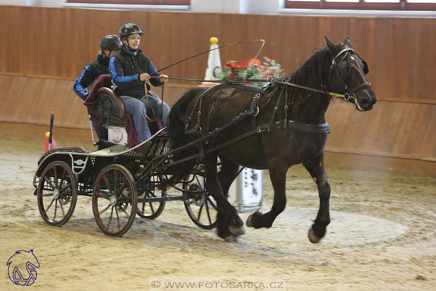 17.2.2018 - hobby spřežení Brno