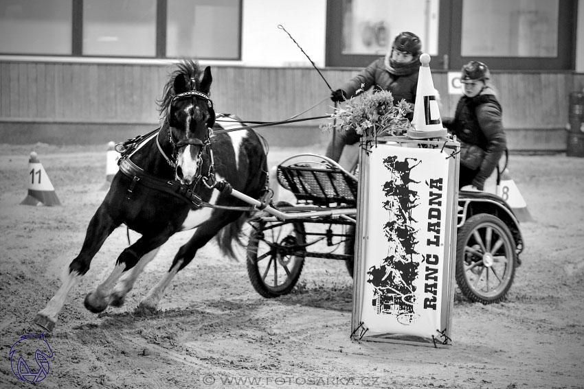 17.2.2018 - hobby spřežení Brno