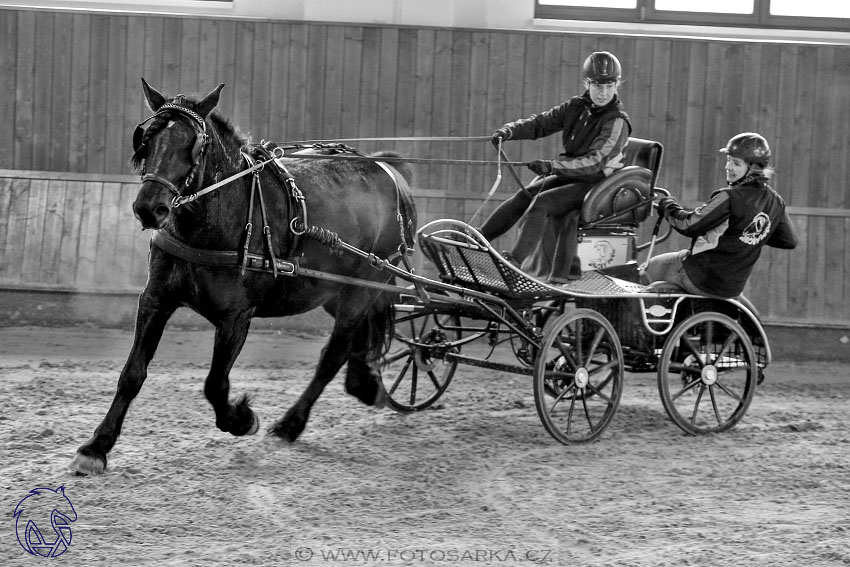 17.2.2018 - hobby spřežení Brno