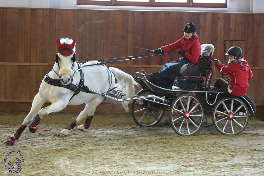 17.2.2018 - hobby spřežení Brno