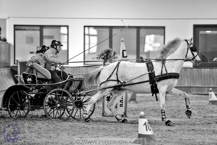 17.2.2018 - hobby spřežení Brno