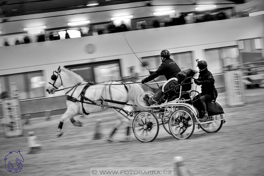 17.2.2018 - hobby spřežení Brno