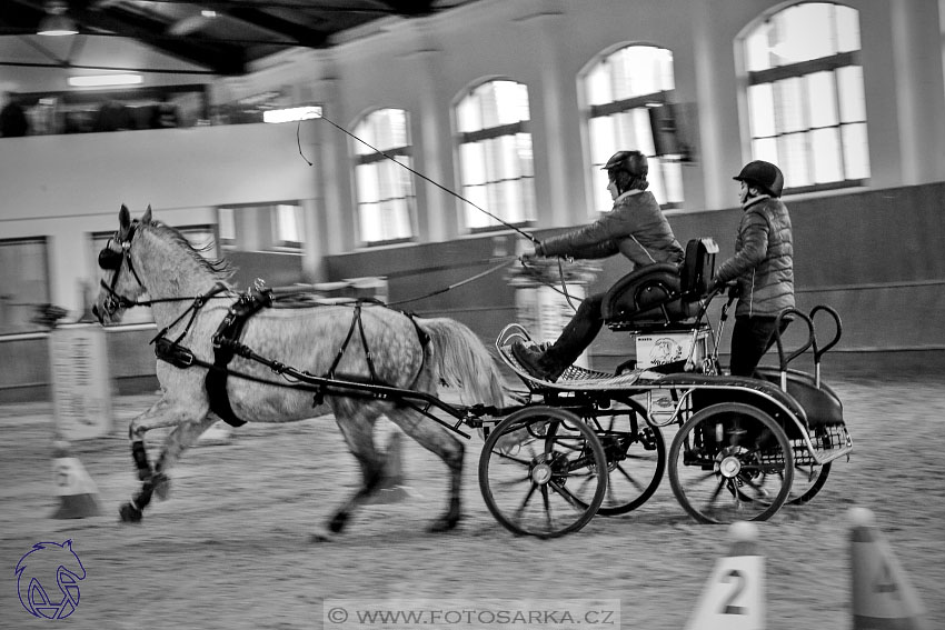 17.2.2018 - hobby spřežení Brno