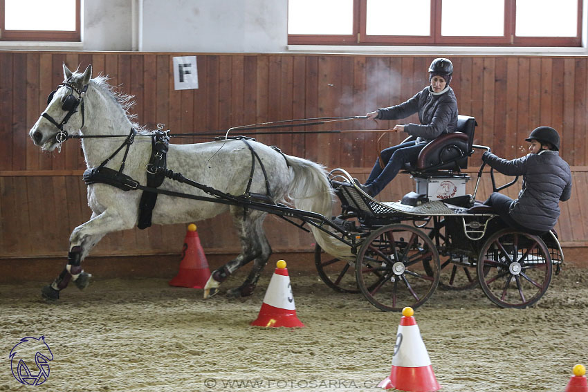 17.2.2018 - hobby spřežení Brno