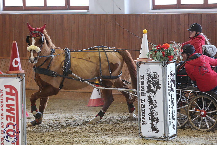 17.2.2018 - hobby spřežení Brno