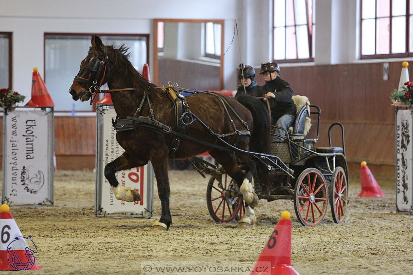 17.2.2018 - hobby spřežení Brno