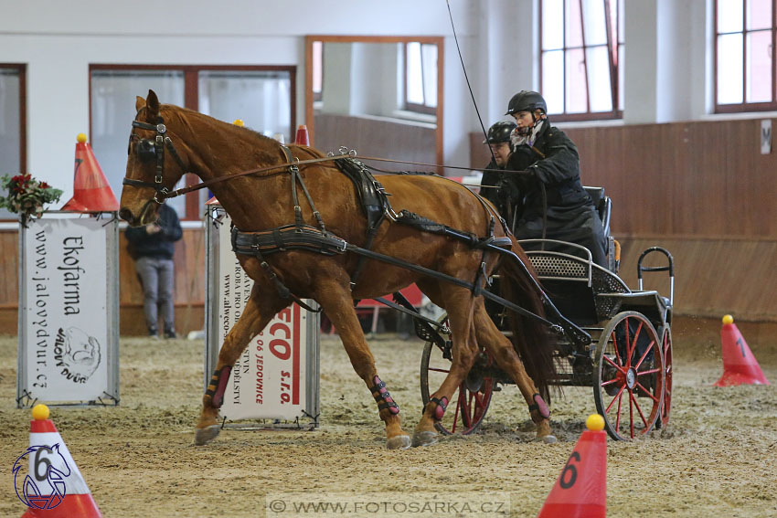 17.2.2018 - hobby spřežení Brno