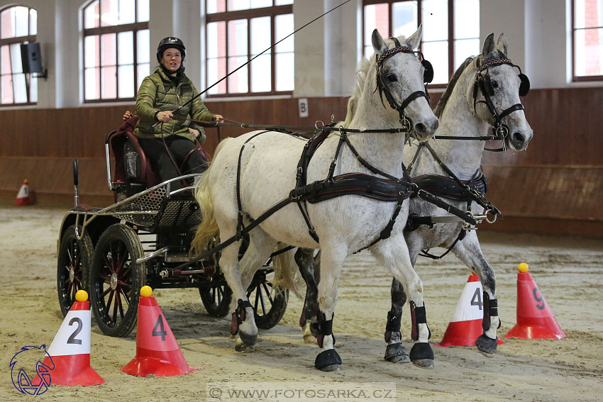 17.2.2018 - hobby spřežení Brno