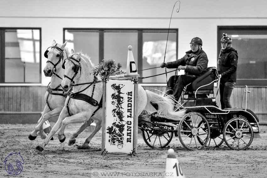 17.2.2018 - hobby spřežení Brno