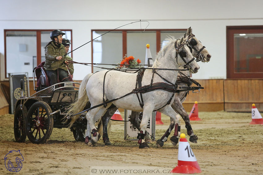 17.2.2018 - hobby spřežení Brno