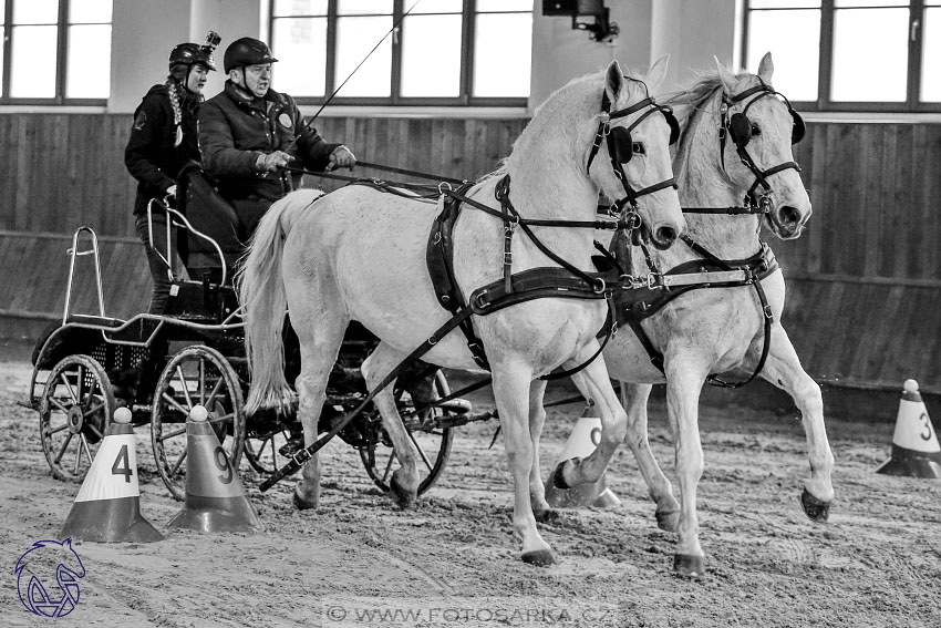 17.2.2018 - hobby spřežení Brno