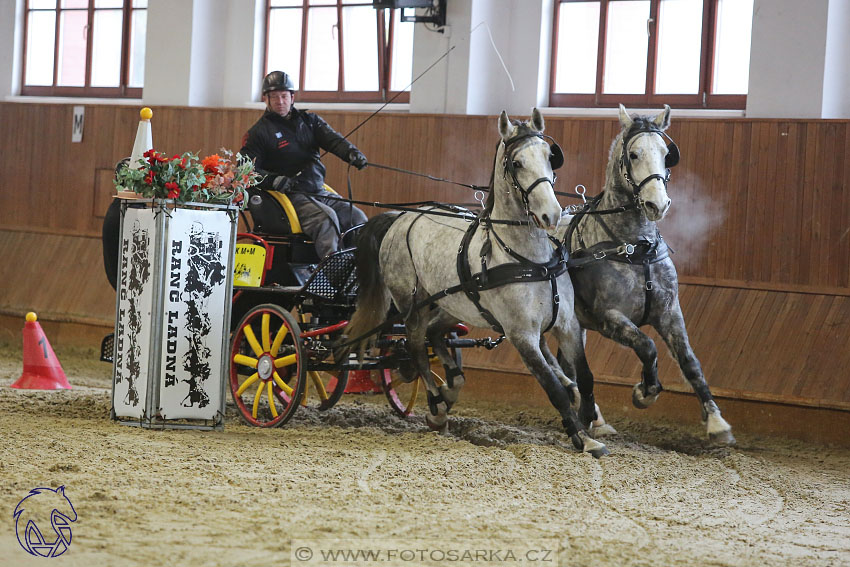 17.2.2018 - hobby spřežení Brno