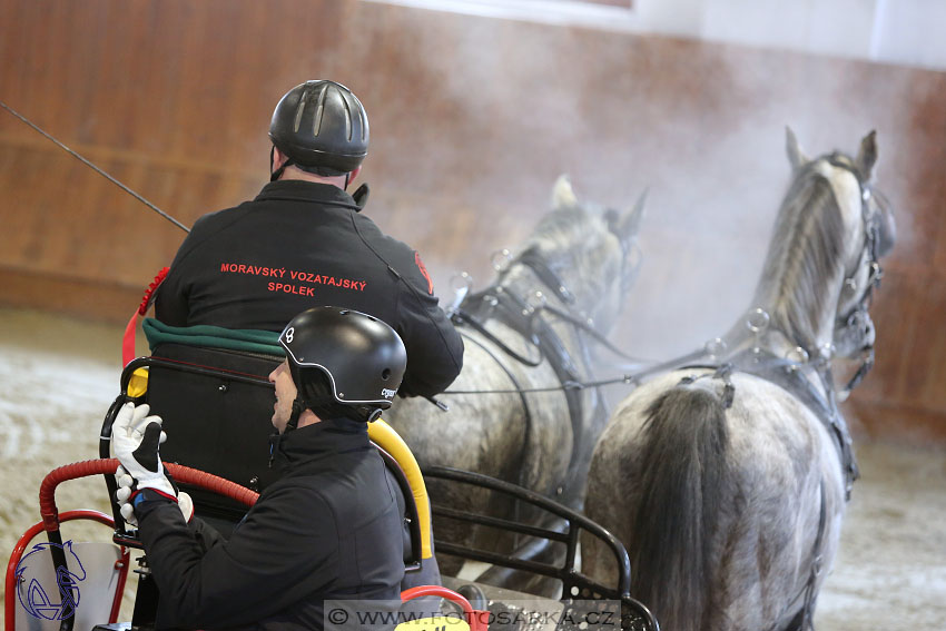 17.2.2018 - hobby spřežení Brno