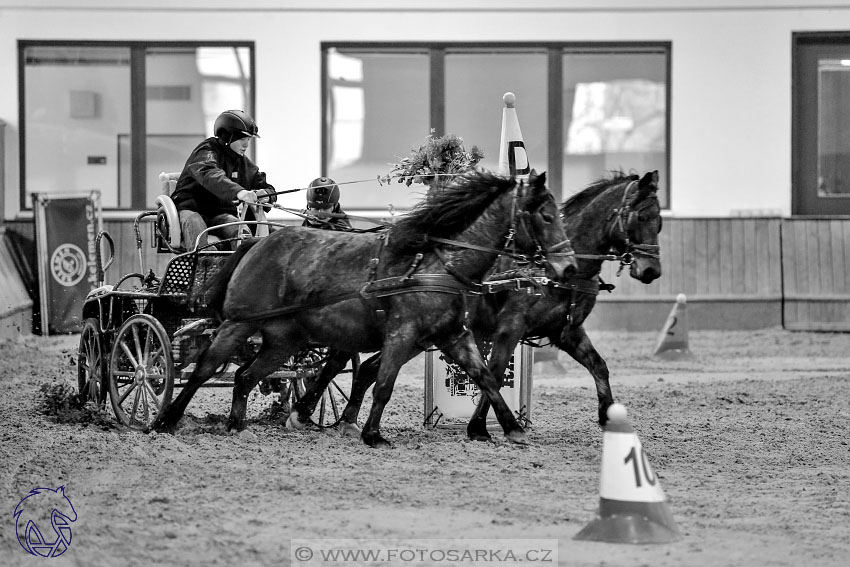 17.2.2018 - hobby spřežení Brno