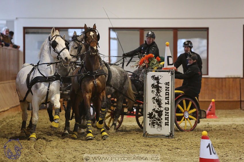 17.2.2018 - hobby spřežení Brno